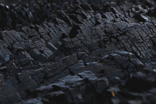 The wave of the plague pogrom